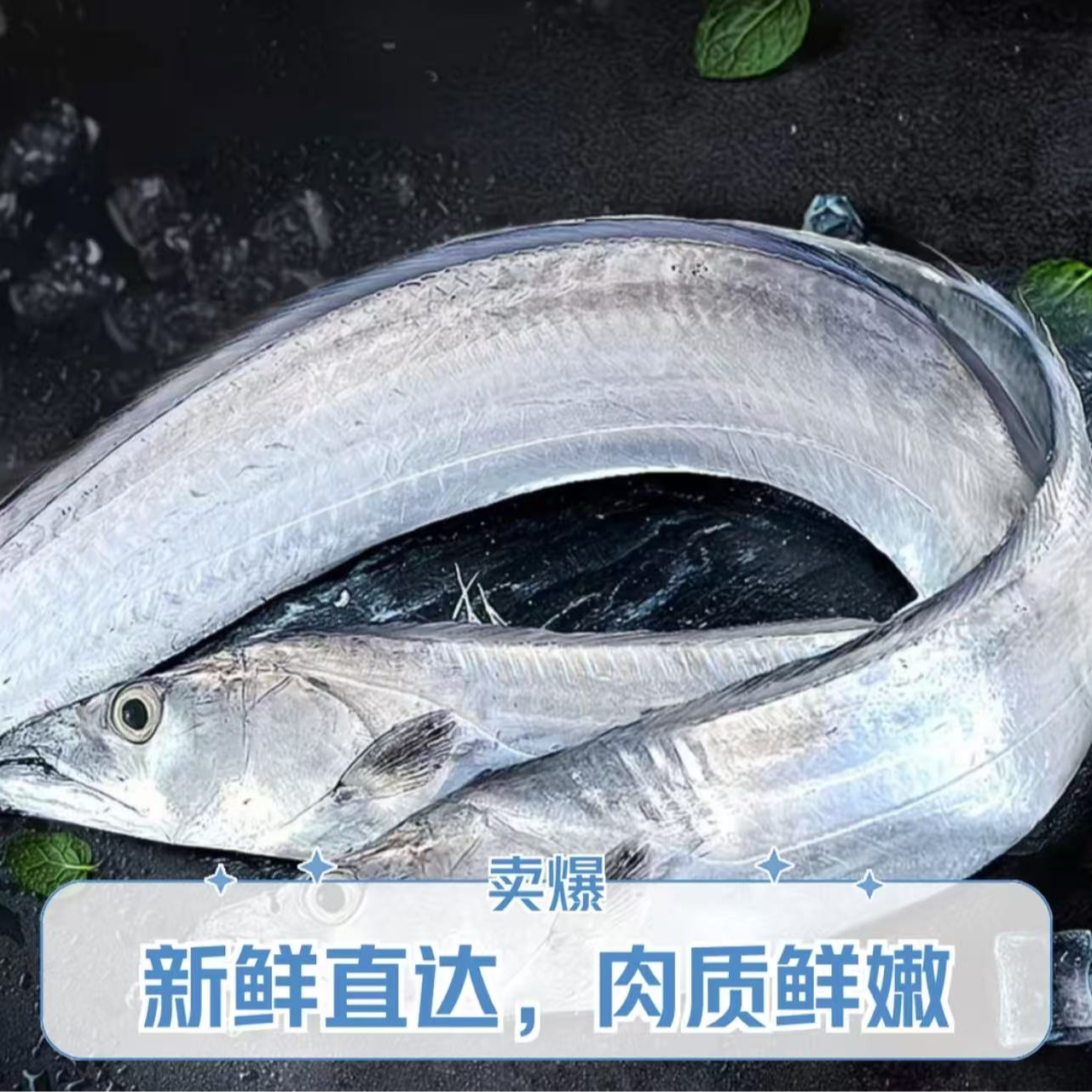 整条正宗黄海湾海捕小眼油带鱼野生带鱼每条200g-300g/条左右