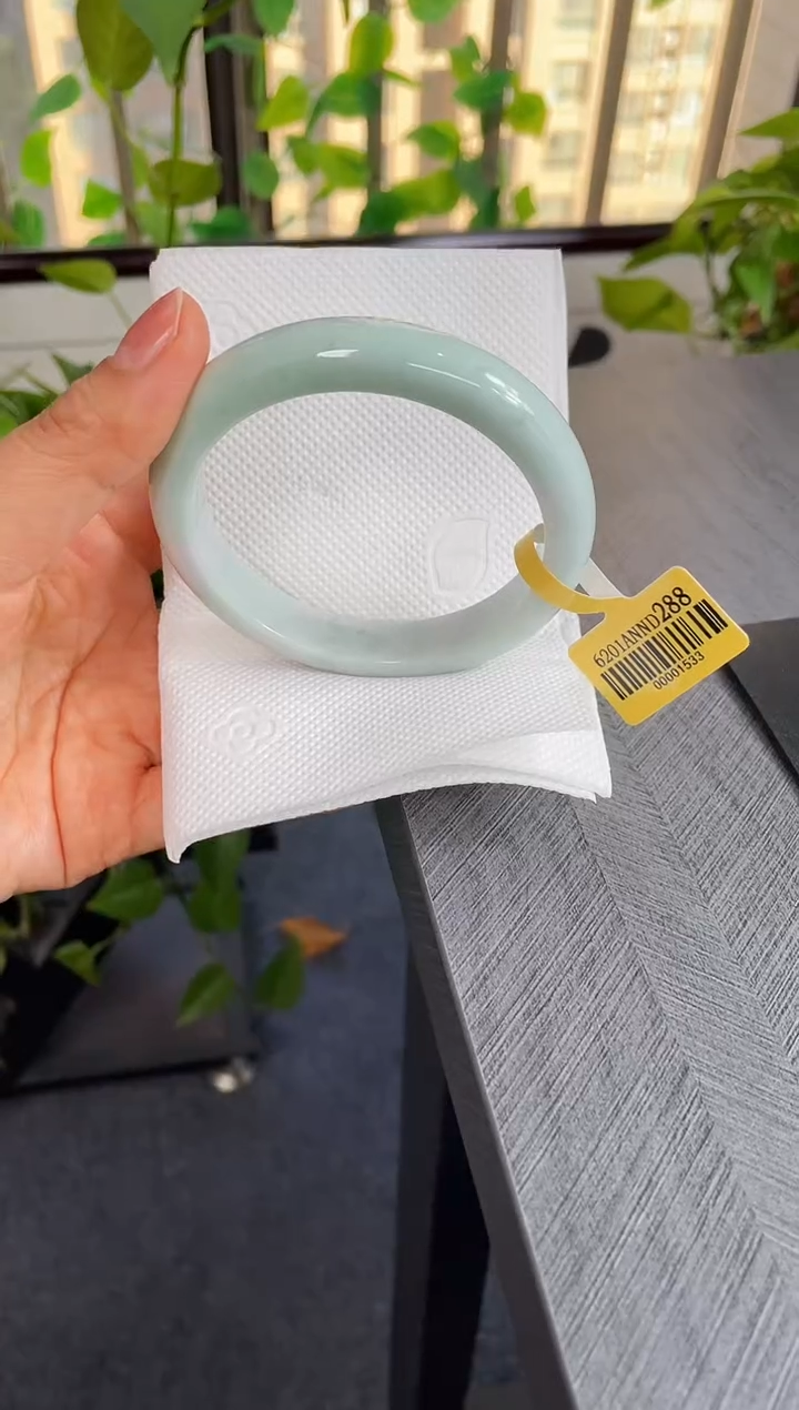 未镶嵌手镯翡翠003-62.7