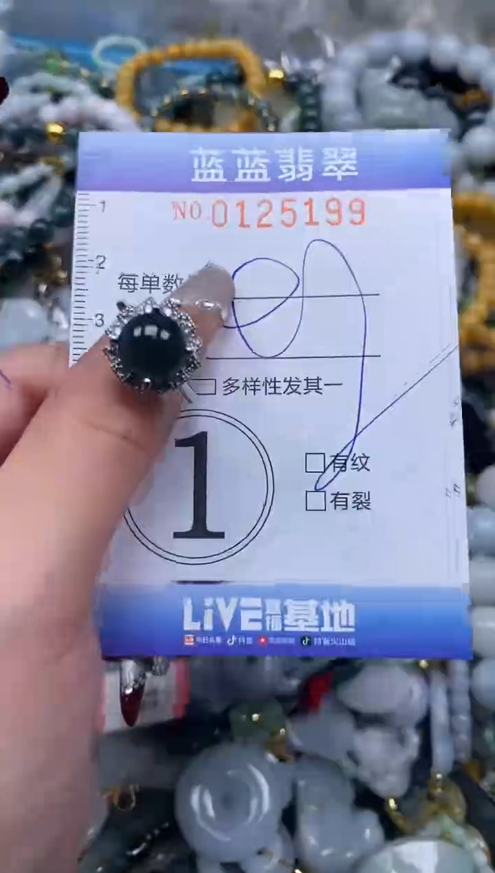 【闪购商品】翡翠颈饰未镶嵌闪购0125199