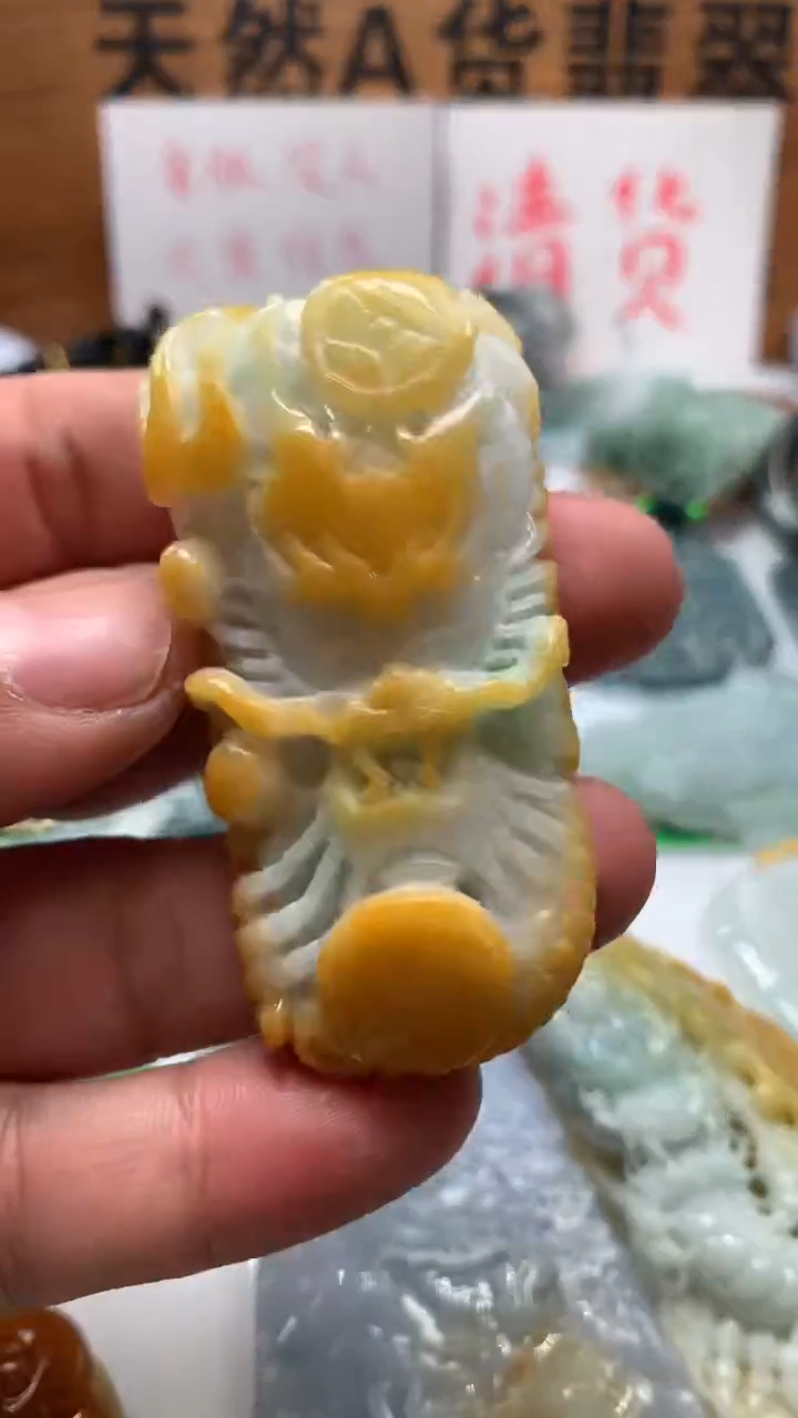 【闪购商品】翡翠颈饰未镶嵌保真天然A货翡翠