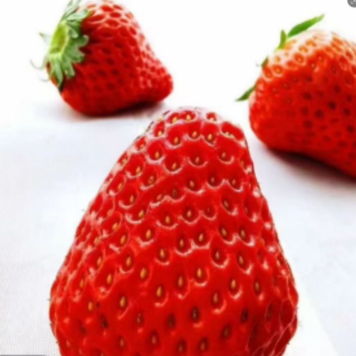 【顺丰包邮】丹红99红颜草莓一盒12-36粒（江浙沪皖）