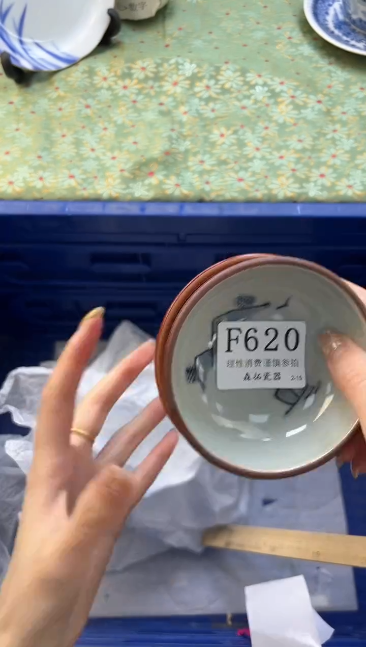 【闪购商品】瓷片          F620