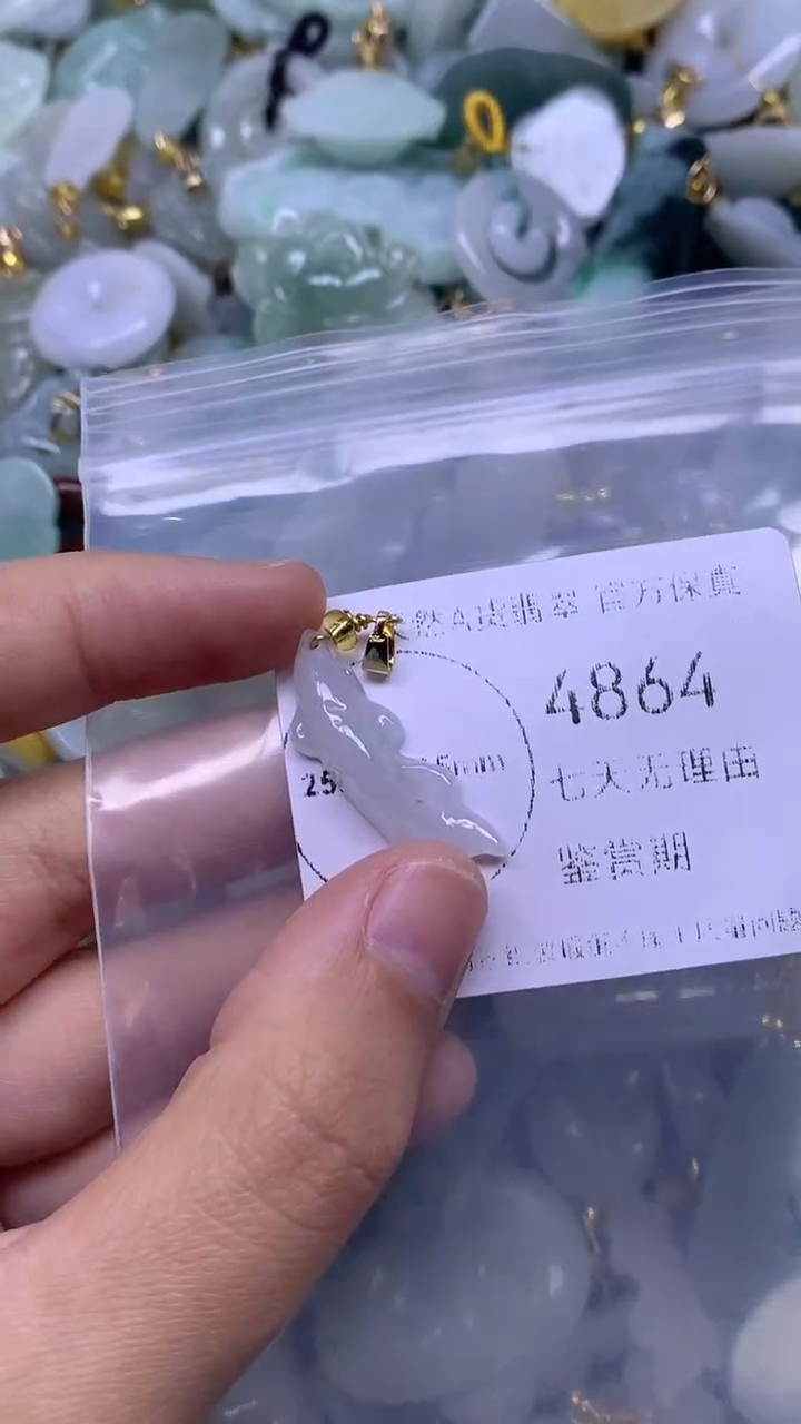 颈饰未镶嵌翡翠1