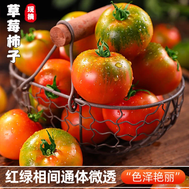 【京东包邮】铁皮西红柿草莓柿子净重4.5斤自然成熟绿腚番茄满口爆汁酸甜爽口