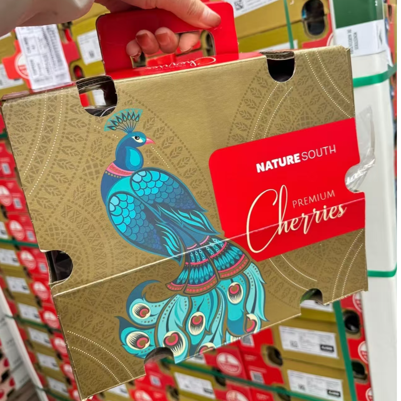 空运大牌蓝孔雀智利桑提娜3J车厘子5斤净果桑提娜智利