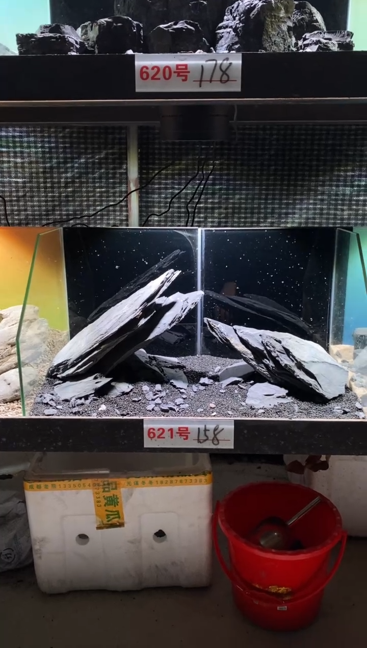 621号鱼缸造景（不含底砂）