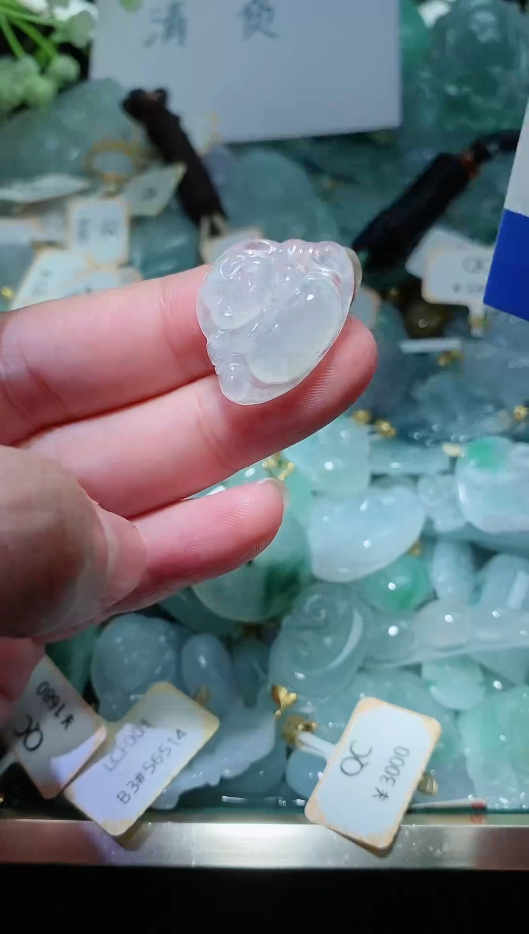 【闪购商品】翡翠颈饰未镶嵌天然A货翡翠一件