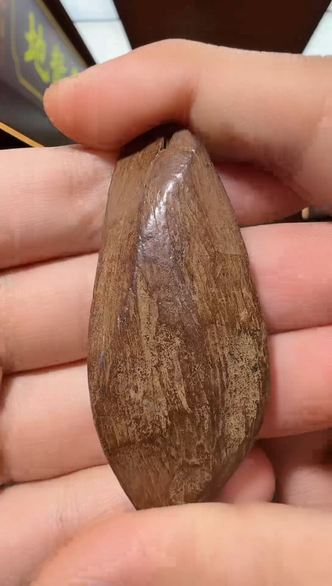 沉香吊坠18号斯里兰卡红土多样性发一
