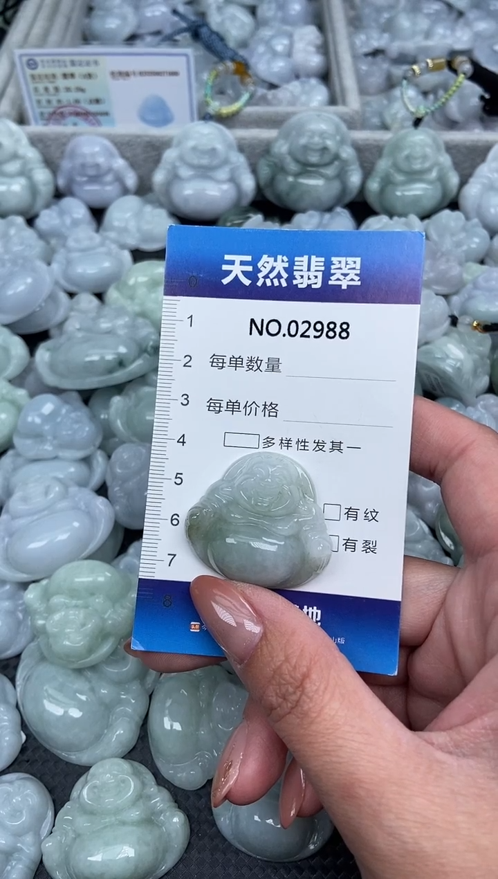 颈饰未镶嵌翡翠纯天然A货翡翠2988