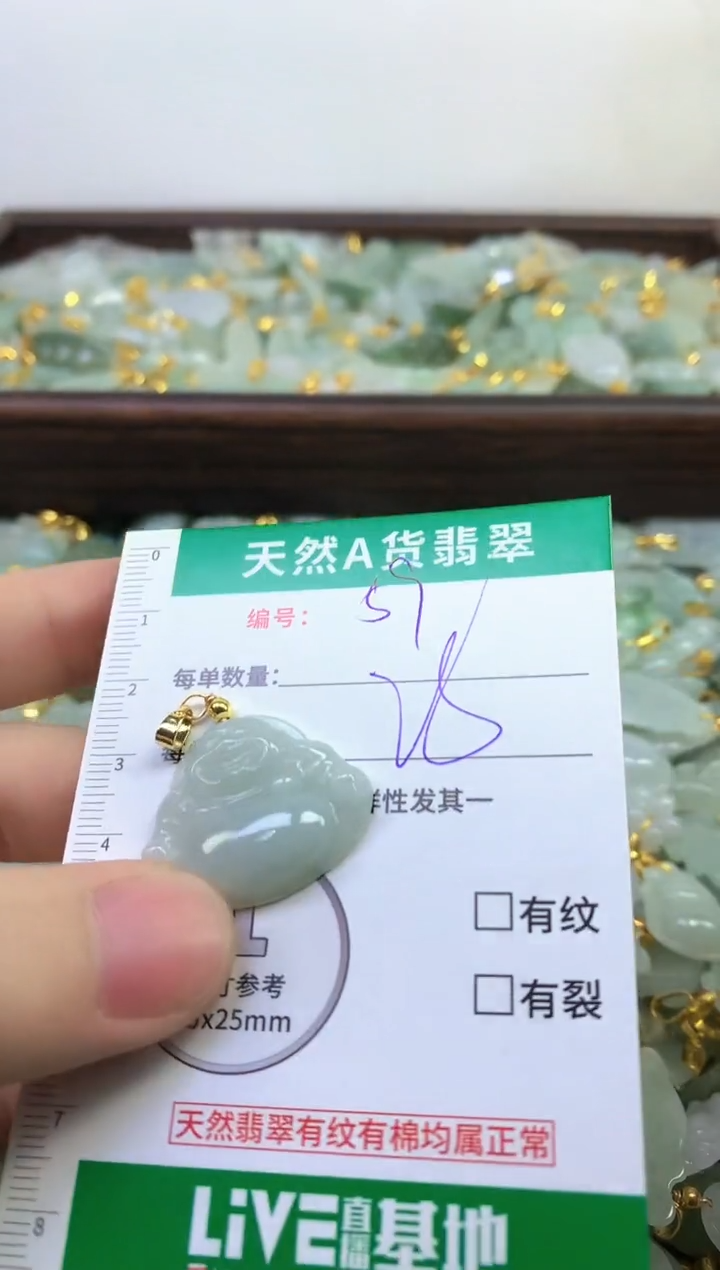 颈饰未镶嵌翡翠纯天然缅甸A货翡翠