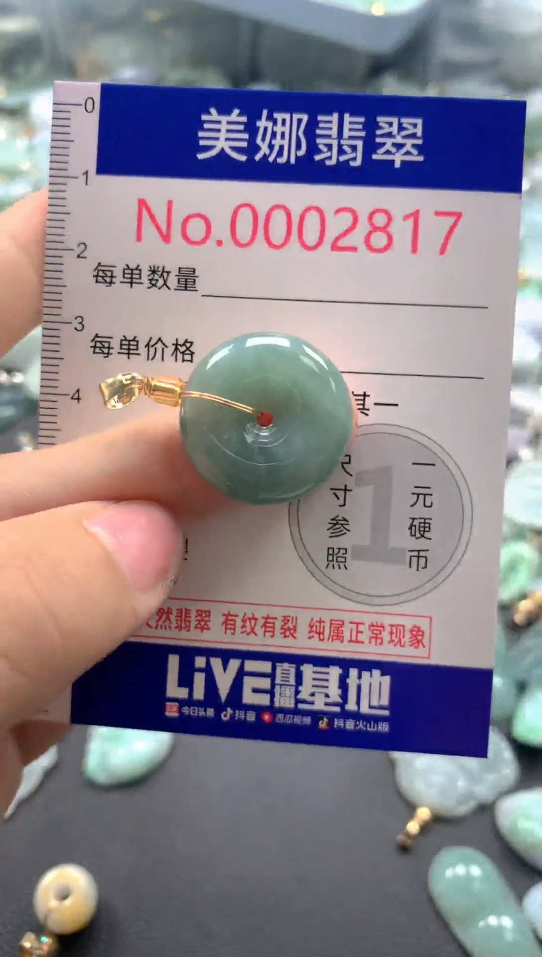 颈饰未镶嵌翡翠2817