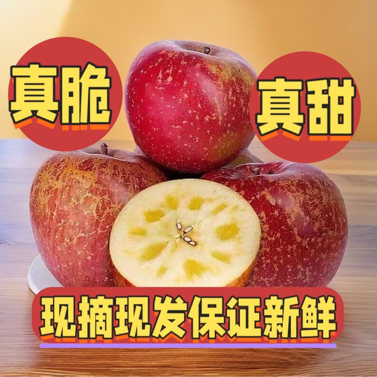 正宗云南昭通冰糖心苹果脆甜多汁新鲜水果产地直发净重5斤