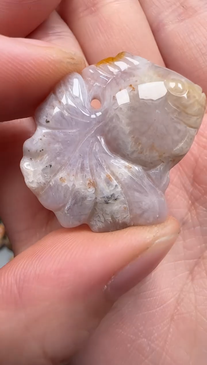 硅化珊瑚（珊瑚玉）未镶嵌颈饰739