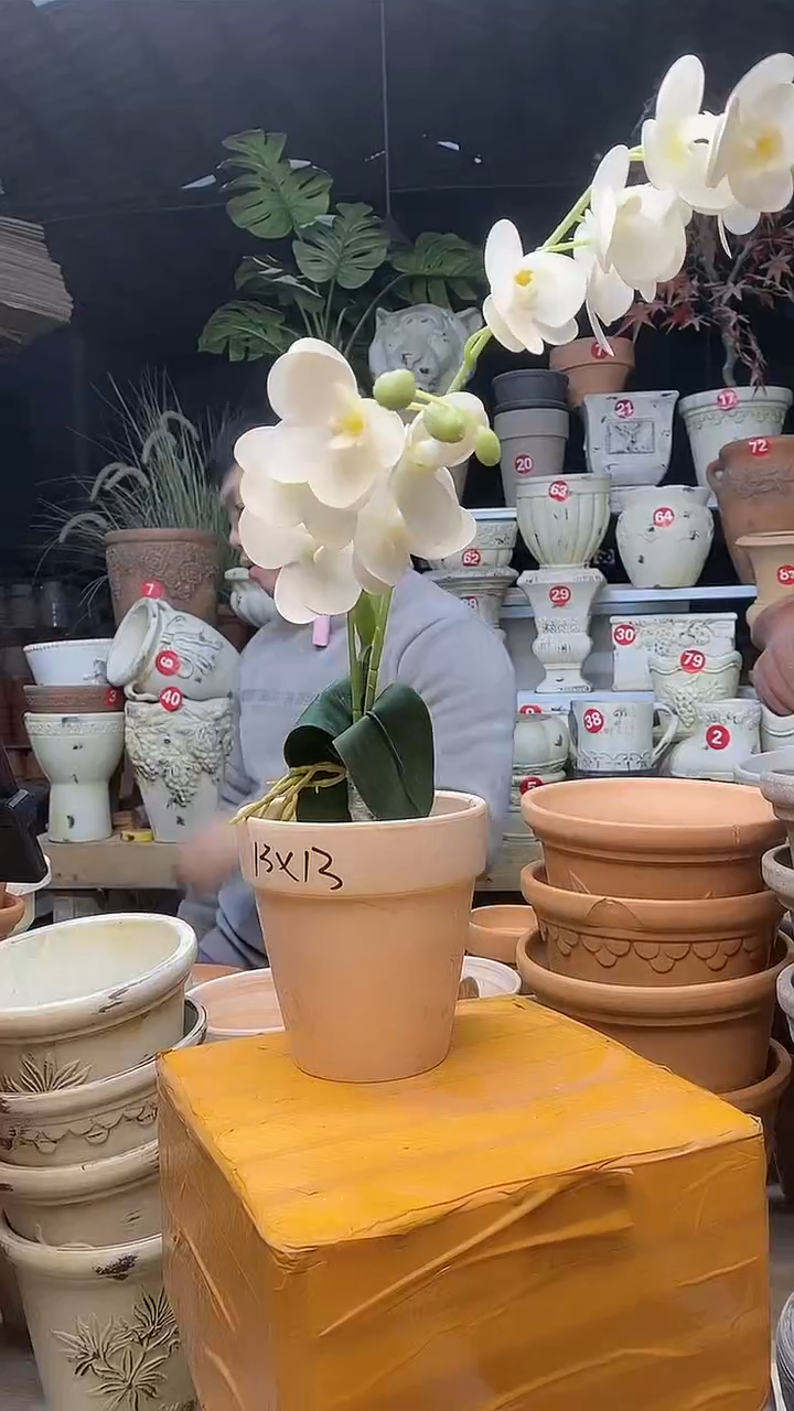 【闪购商品】缸1个13*13（红白）陶玛琪朵无托无托