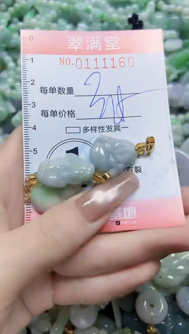 【闪购商品】翡翠颈饰未镶嵌闪购0111160