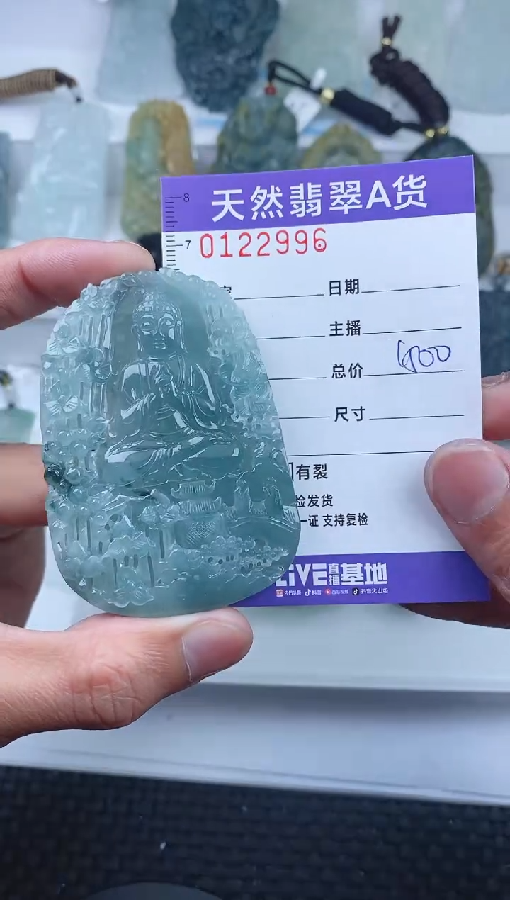 【闪购商品】翡翠颈饰未镶嵌        996