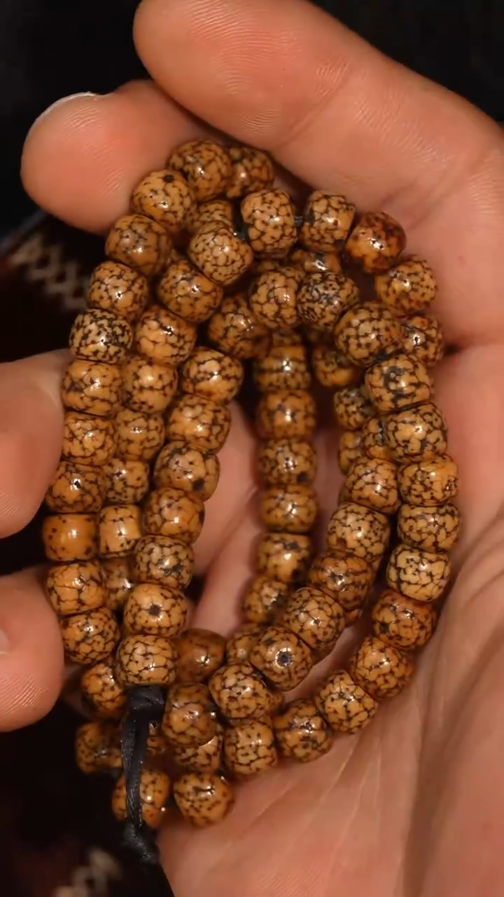 冲赛康胡子哥，藏传念珠201