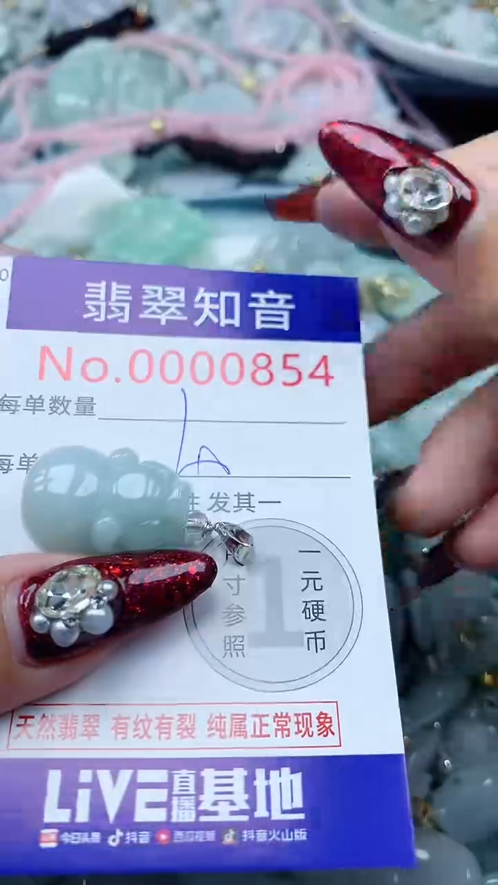 颈饰未镶嵌翡翠854