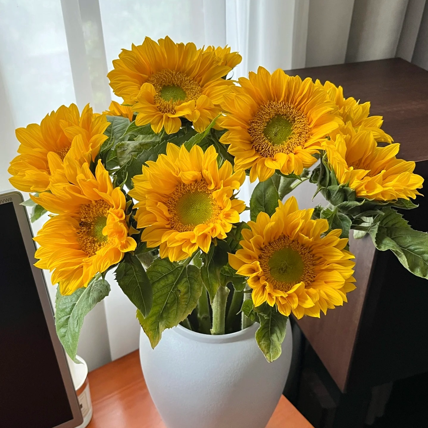 【绿心向日葵 5支 】  任意2单升级顺丰/德邦