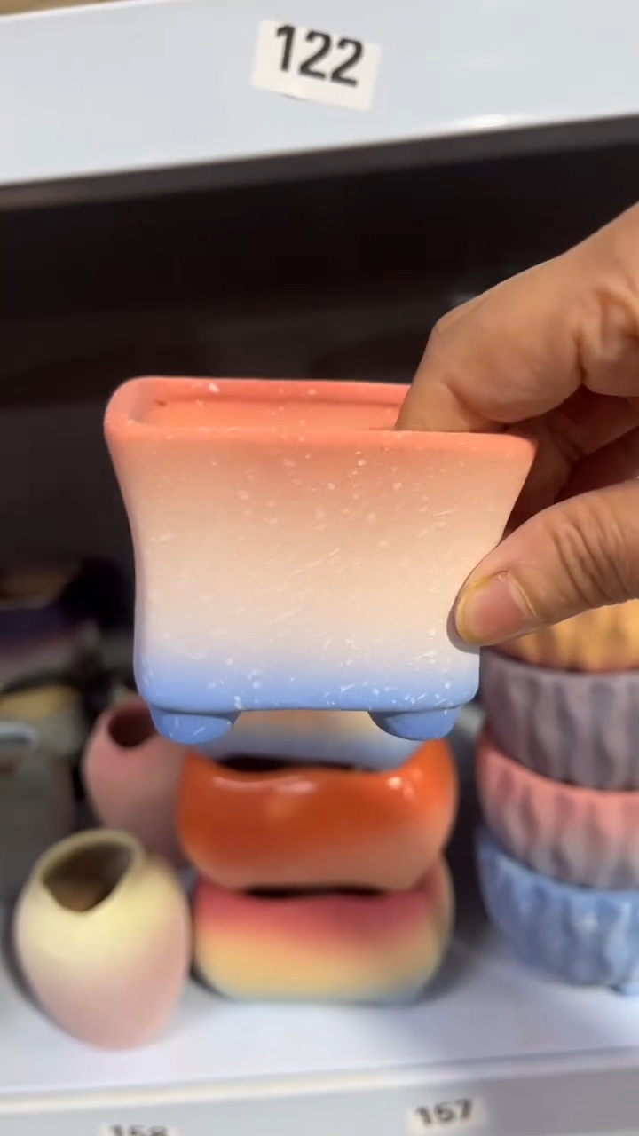 【闪购商品】红陶7*6