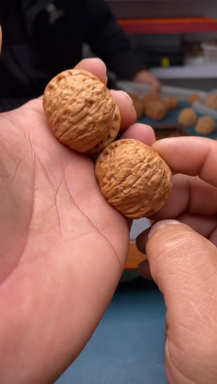 把件文玩核桃南瓜墩a568