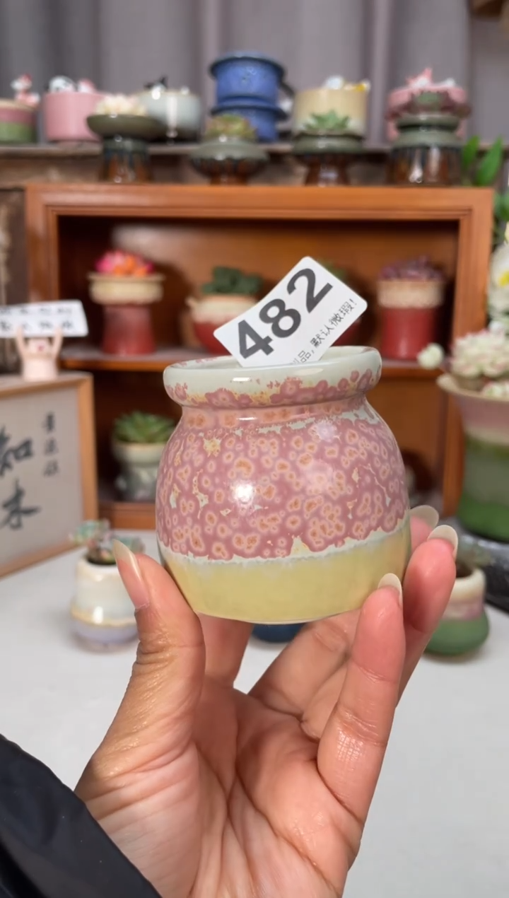 瓷片482小芳直播编号