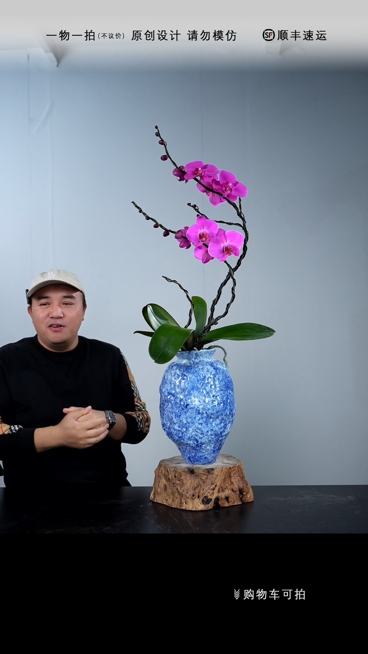 【闪购商品】056号链接【一物一拍】艺术盆景