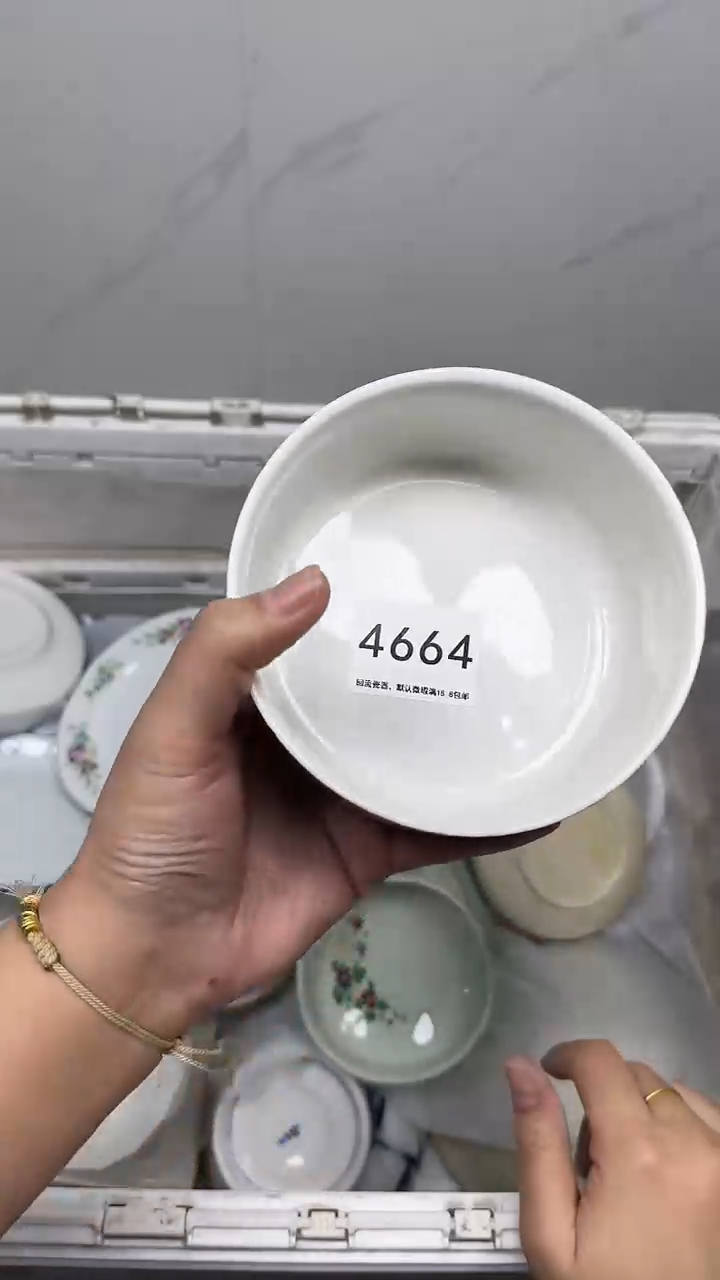 【闪购商品】4664回流瓷器默认微瑕，18.8包邮