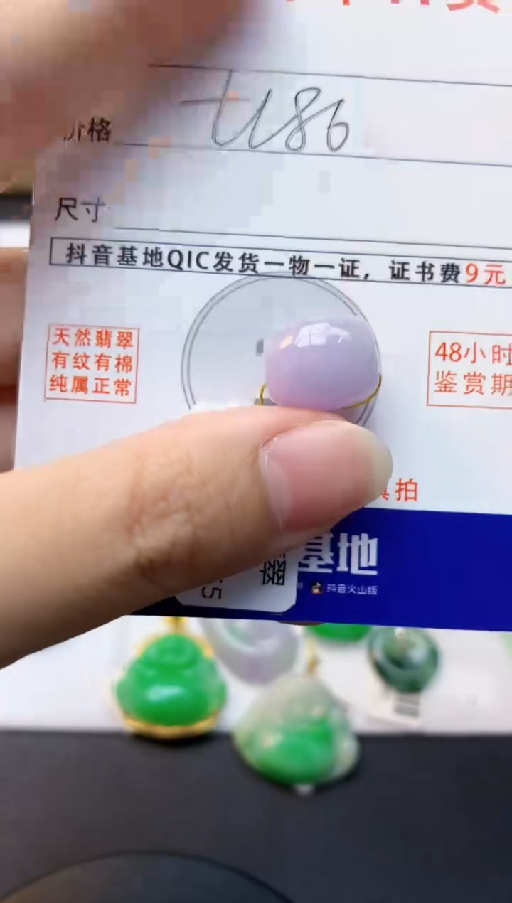 颈饰未镶嵌翡翠天然缅甸A货翡翠