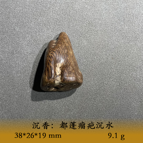 LSWIS天然野都蓬瘤疤沉水C163