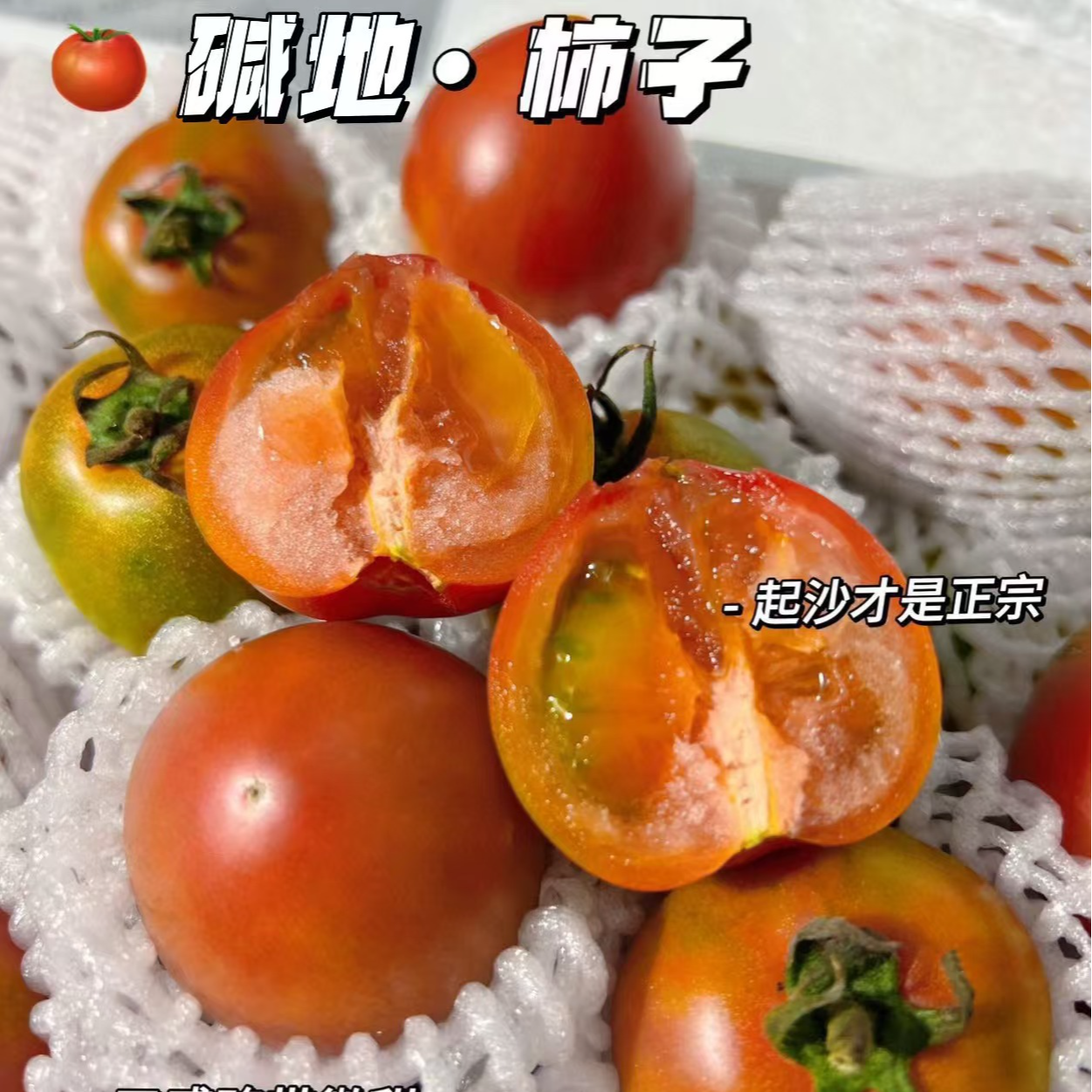 【坏果包赔】碱地铁皮柿子一箱净重4.5斤