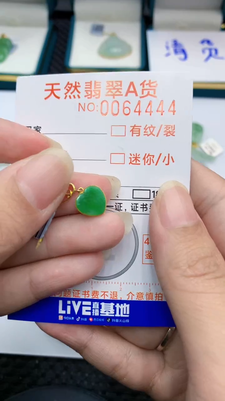 【闪购商品】翡翠颈饰18K金镶嵌            8