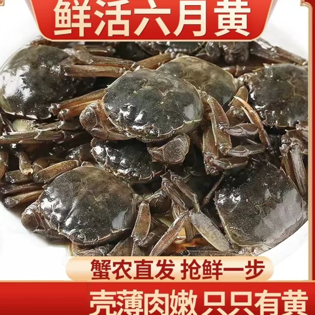 【农耕先生】鲜活六月黄一两左右鲜美 易掉爪 介意勿拍[空运]包邮