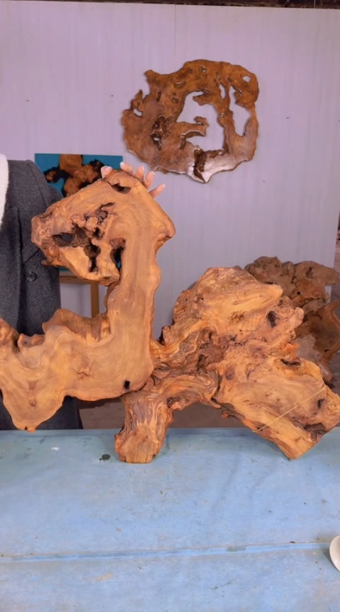 【闪购商品】香杉木木艺杉木瘤随型【原料】013