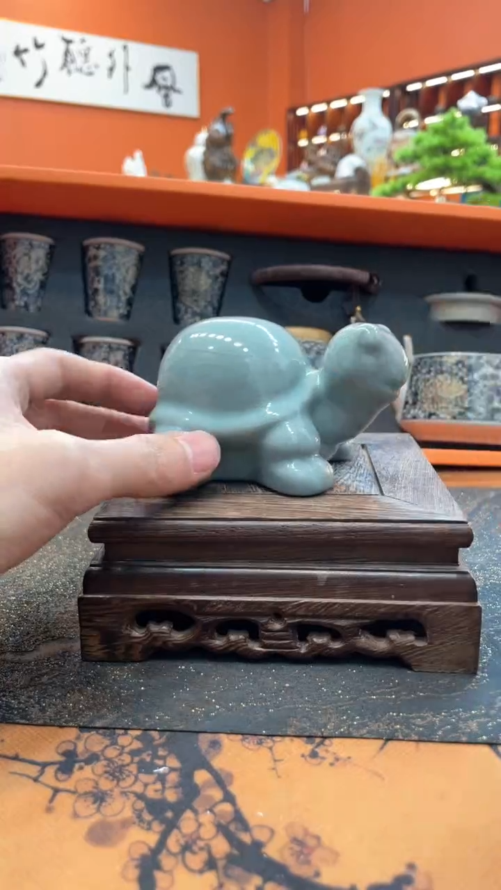 【闪购商品】@@@@@@@@@@@乌龟茶宠