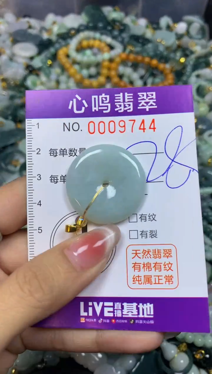 【闪购商品】翡翠颈饰未镶嵌闪购009744