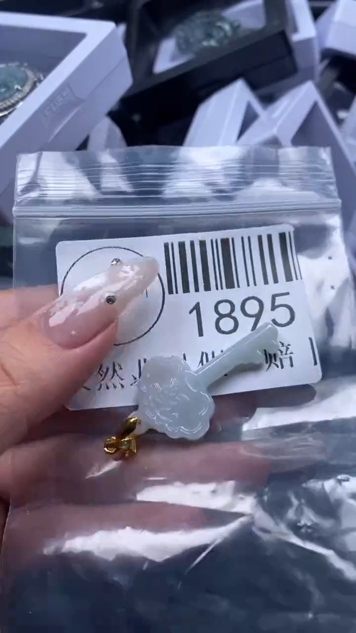 颈饰未镶嵌翡翠1895