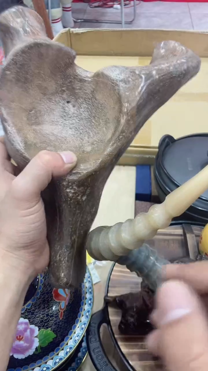 【闪购商品】瓷片直播商品  如图所示