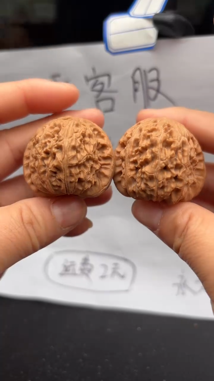 把件文玩核桃84白狮子