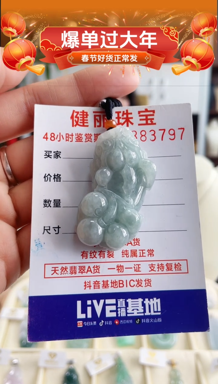 【闪购商品】翡翠颈饰未镶嵌天然缅甸翡翠 貔貅(一物一证)