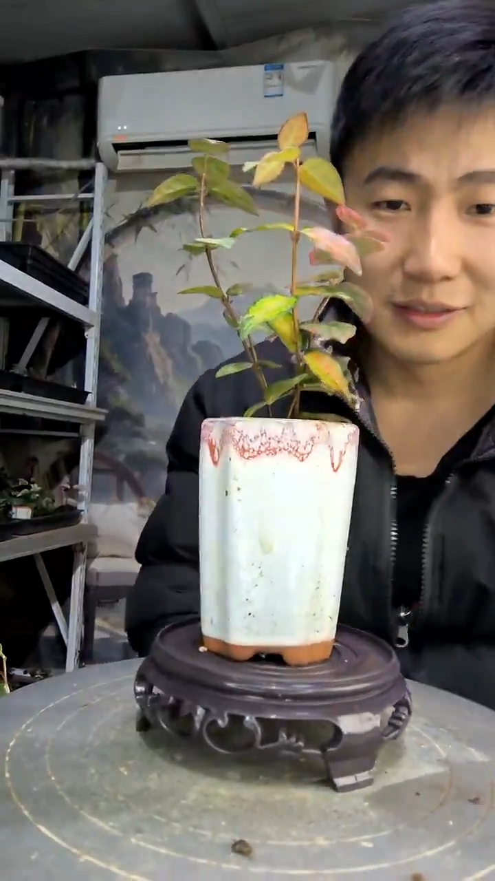 花**?中青园艺一物一拍花199