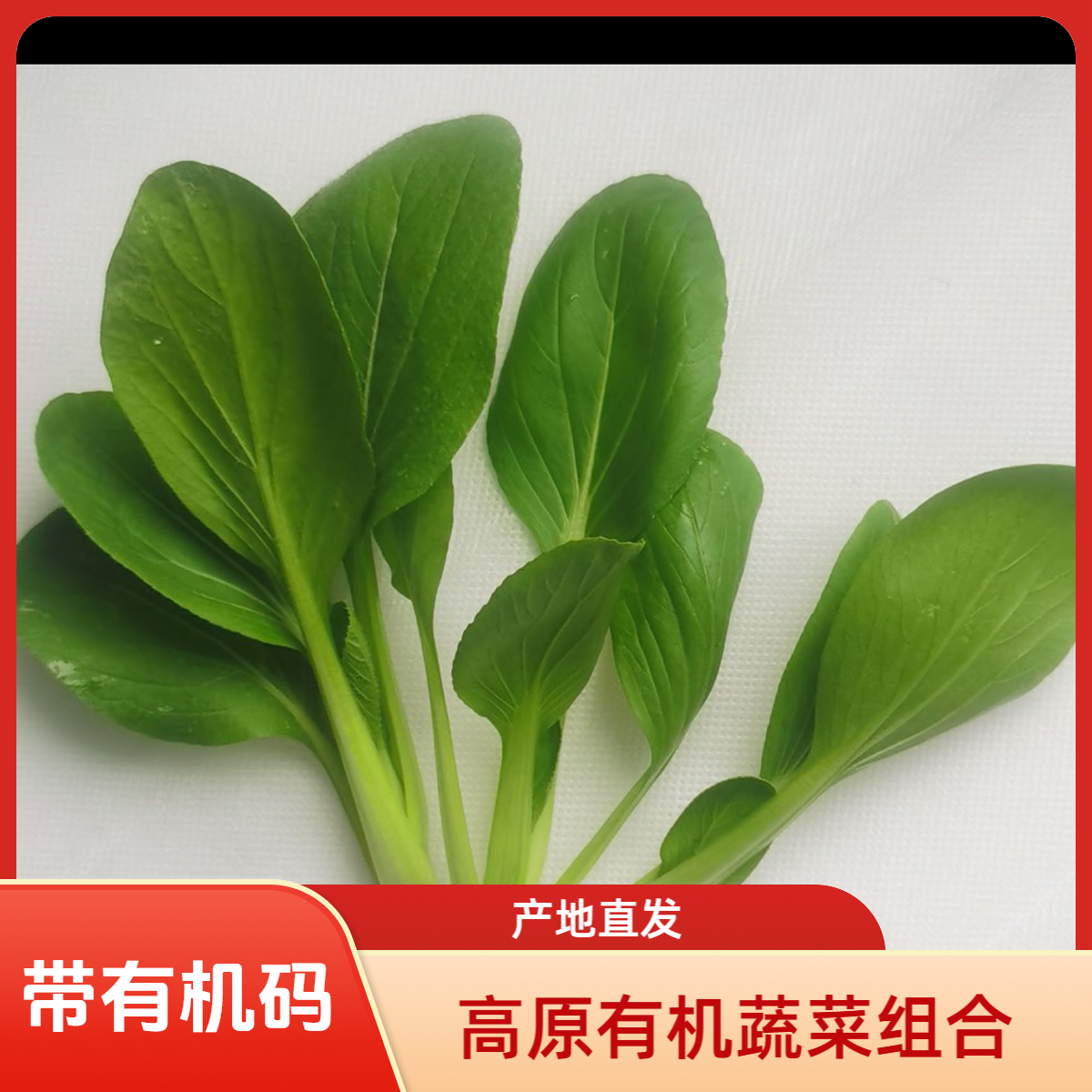 有机蔬菜组合（小油菜500克韭菜500克小白菜500克(李琬有机菜)