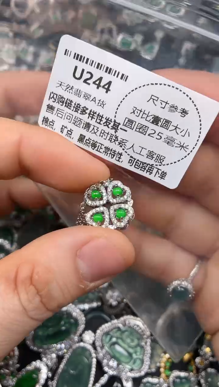 颈饰未镶嵌翡翠U244项链