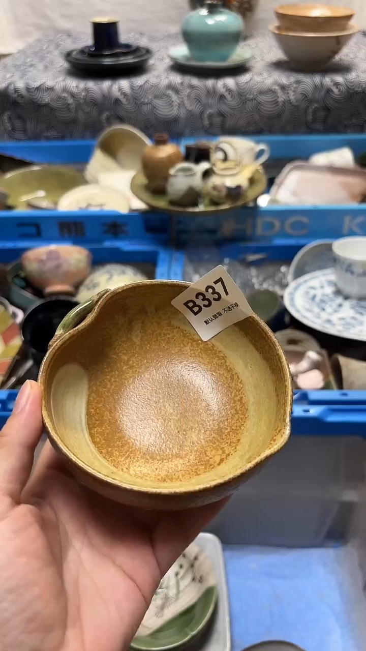 瓷片高****墙喵喵家都是大漂亮