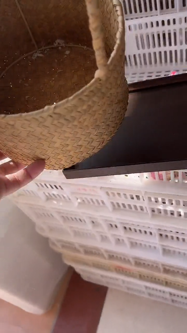 【闪购商品】无运费险略有微瑕介意勿拍