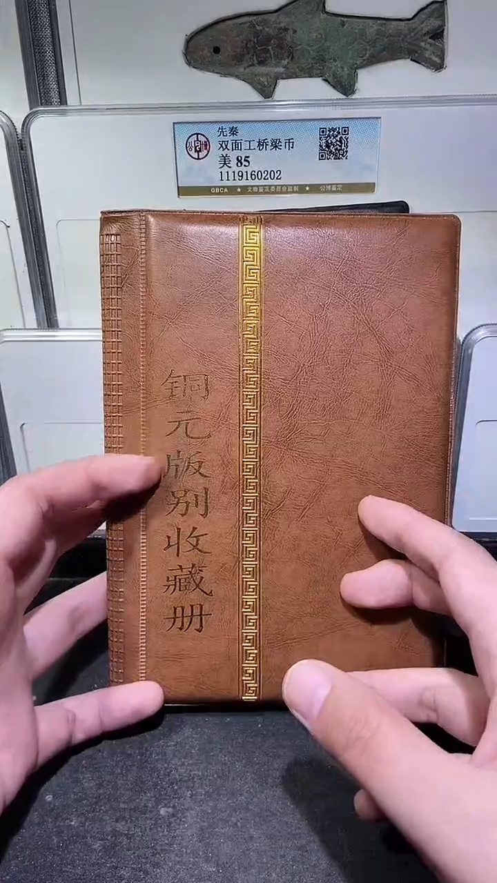 铜历代  铜元版别收藏册