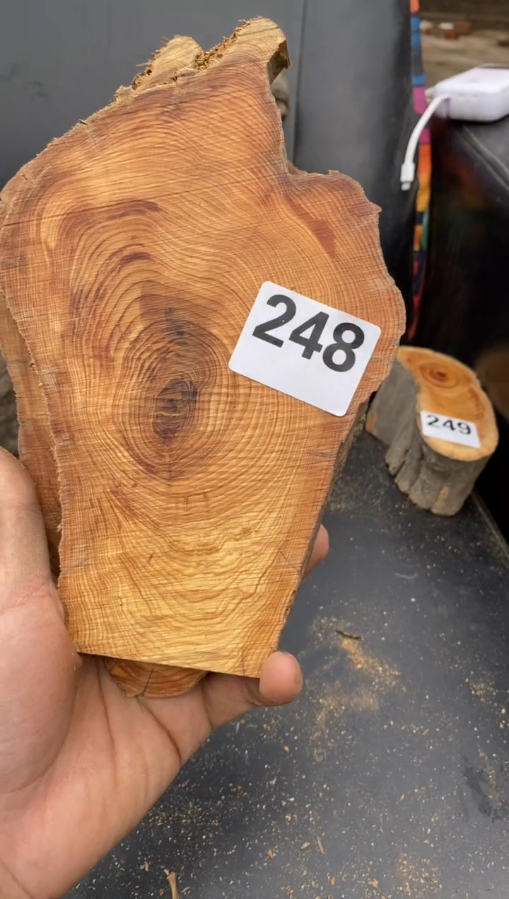 柏木（崖柏）太行陈化崖柏！随机（1单1片）248