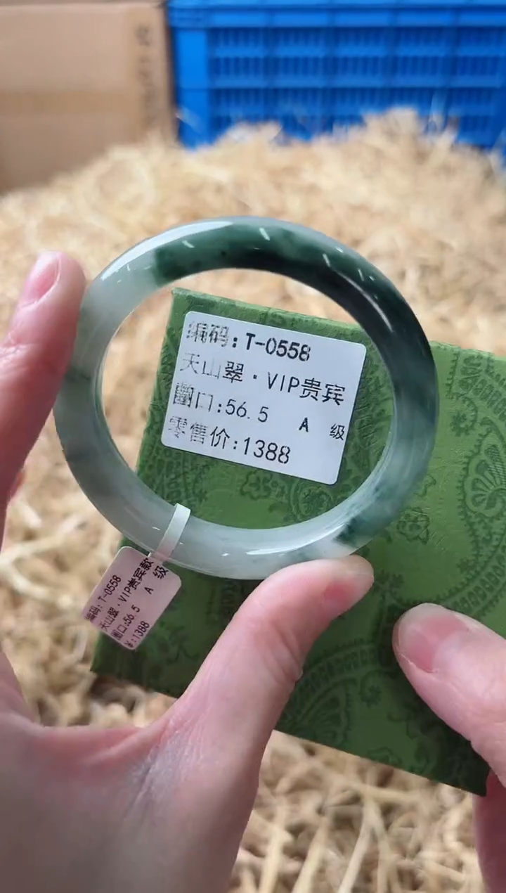 未镶嵌手镯石英质玉T-0558