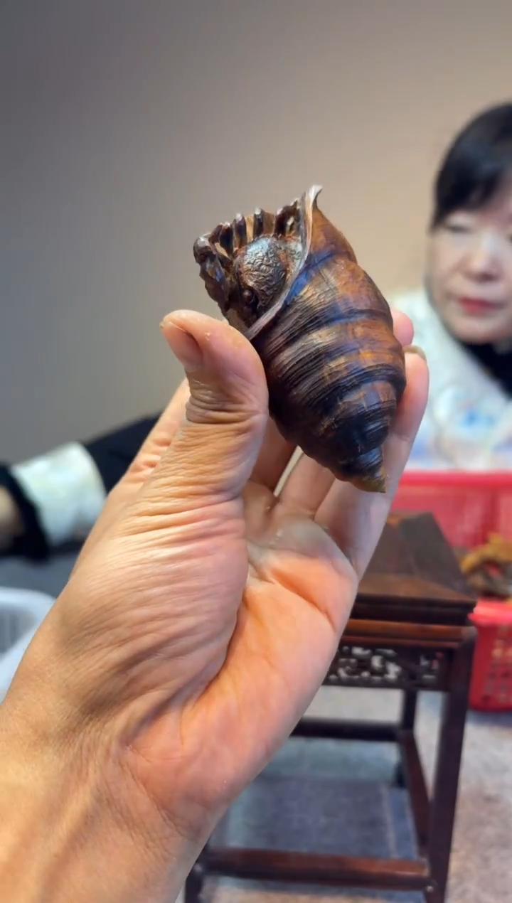 木墩*贡木贡木贡木贡木