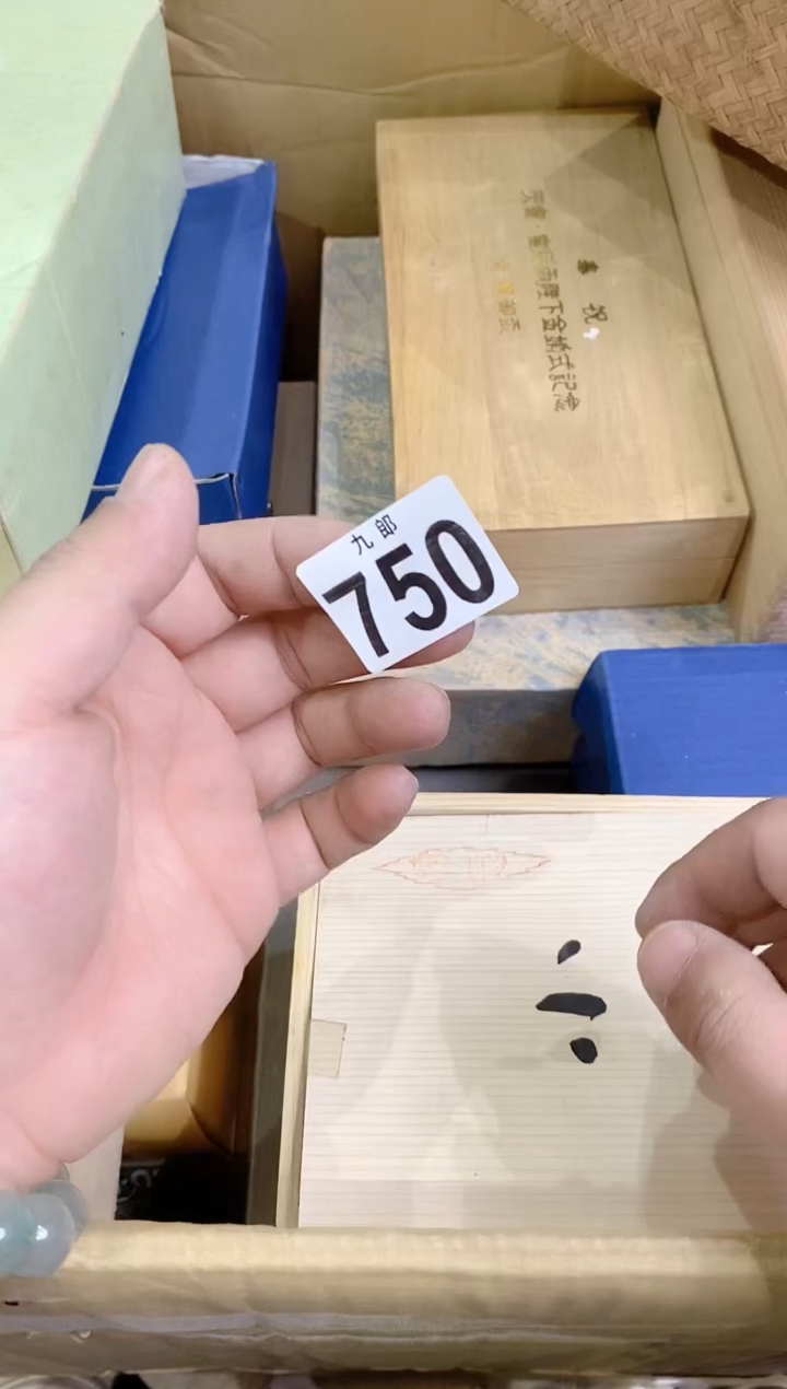 【闪购商品】瓷片750飞翔的企鹅之飞不起来飞翔的企鹅之